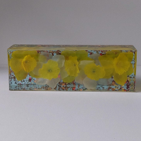 Blokvorm medium, narcis.